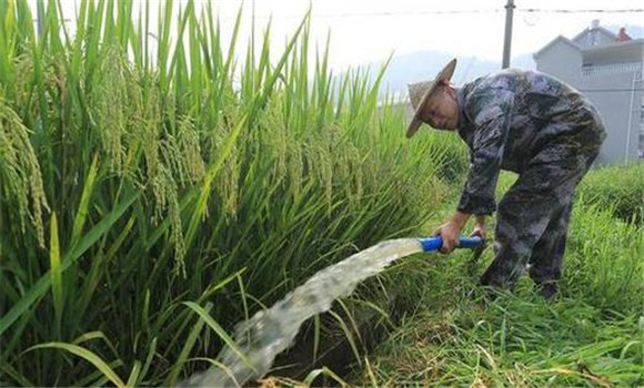 科學(xué)管水、防止早衰