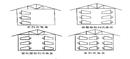 獺兔的養(yǎng)殖技術