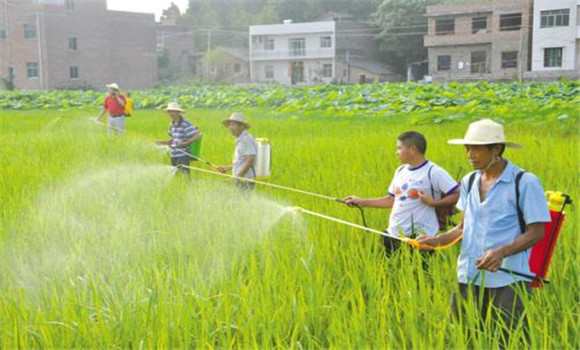 防治病蟲(chóng)害