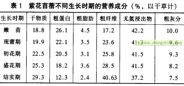 紫花苜蓿的營養(yǎng)價(jià)值