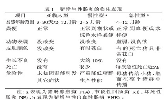 豬增生性腸炎治療方法