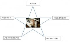 奶牛子宮內(nèi)膜炎的治療方法