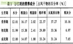 沙打旺怎樣羊才愛(ài)吃 沙打旺飼用價(jià)值