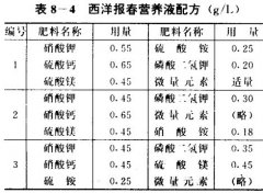 西洋報春無土栽培技術