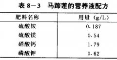 馬蹄蓮無土栽培技術(shù)要點