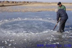 越冬魚(yú)池的水體環(huán)境是怎樣的？