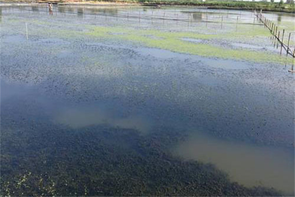 增加溶氧，促進(jìn)有機(jī)物氧化分解