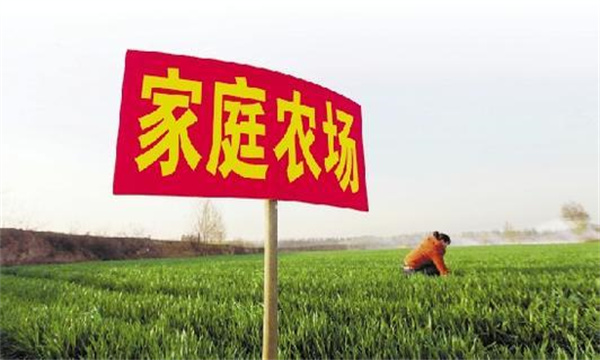 家庭農(nóng)場(chǎng)要通過(guò)實(shí)現(xiàn)專業(yè)化生產(chǎn)