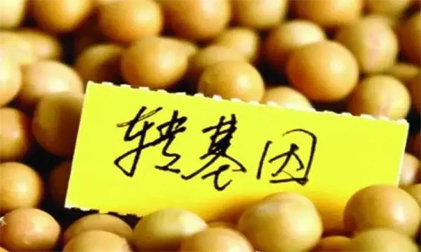 我國(guó)標(biāo)識(shí)的農(nóng)業(yè)轉(zhuǎn)基因產(chǎn)品有哪些