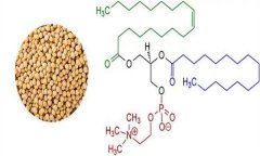 大豆異黃酮對人體有什么好處 什么食物含量多？