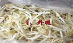 如何挑選豆芽？有根豆芽與無(wú)根豆芽有什么區(qū)別