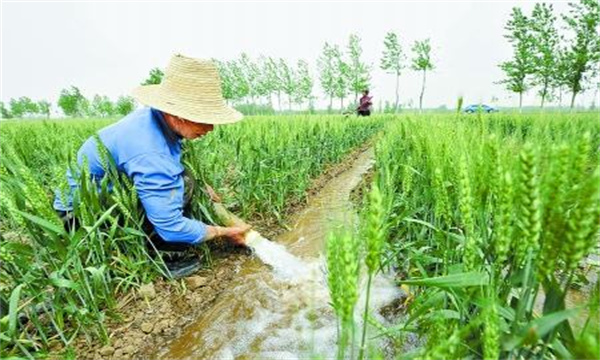 適時澆好灌漿水